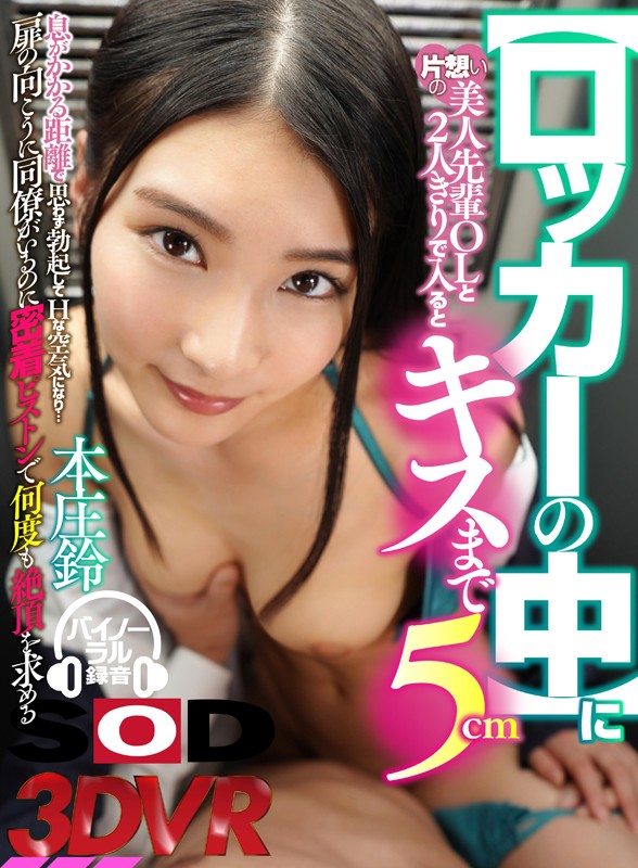 13DSVR00383 サンプル1