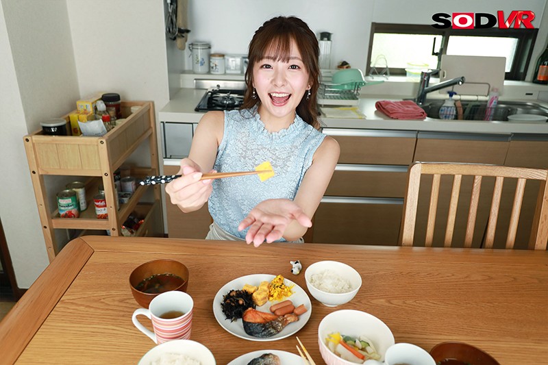 13DSVR00819 サンプル5