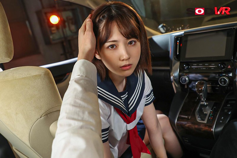 13DSVR00982 サンプル6