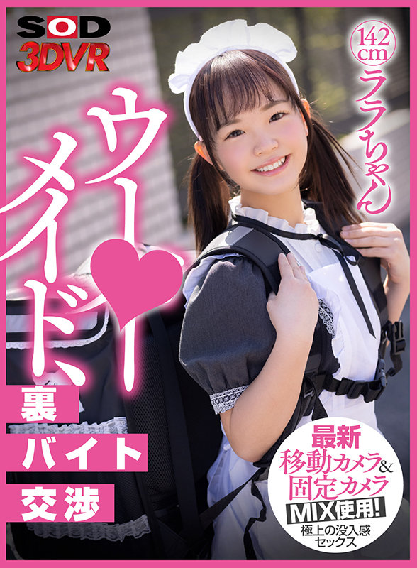 13DSVR00992 サンプル1