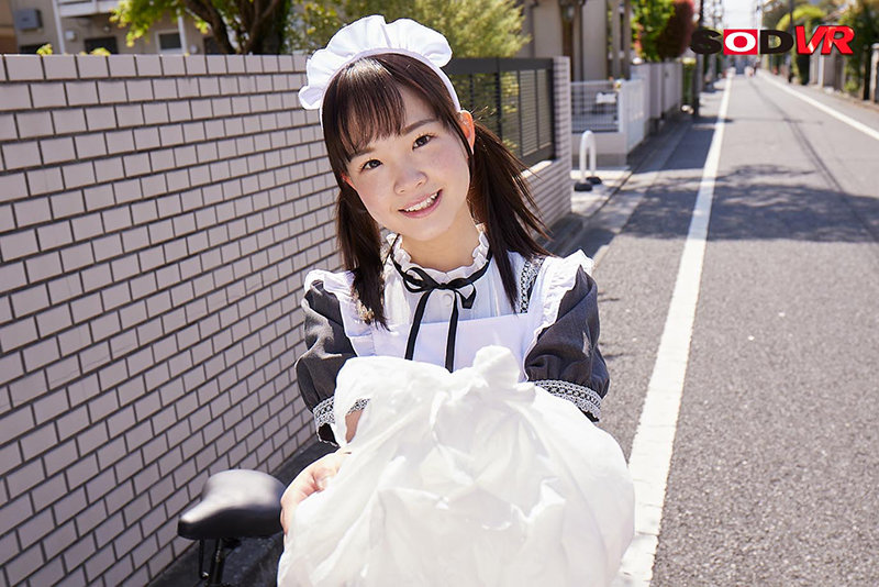 13DSVR00992 サンプル2