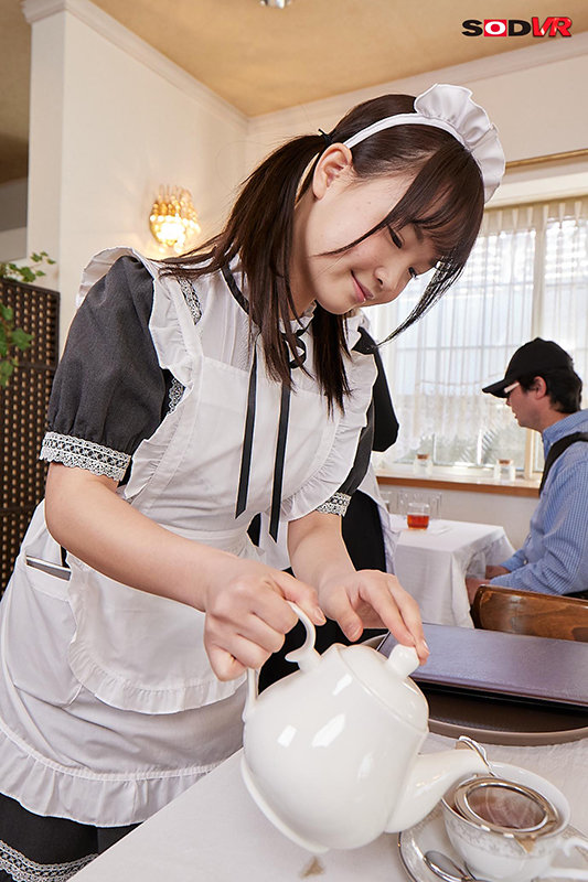 13DSVR00992 サンプル3