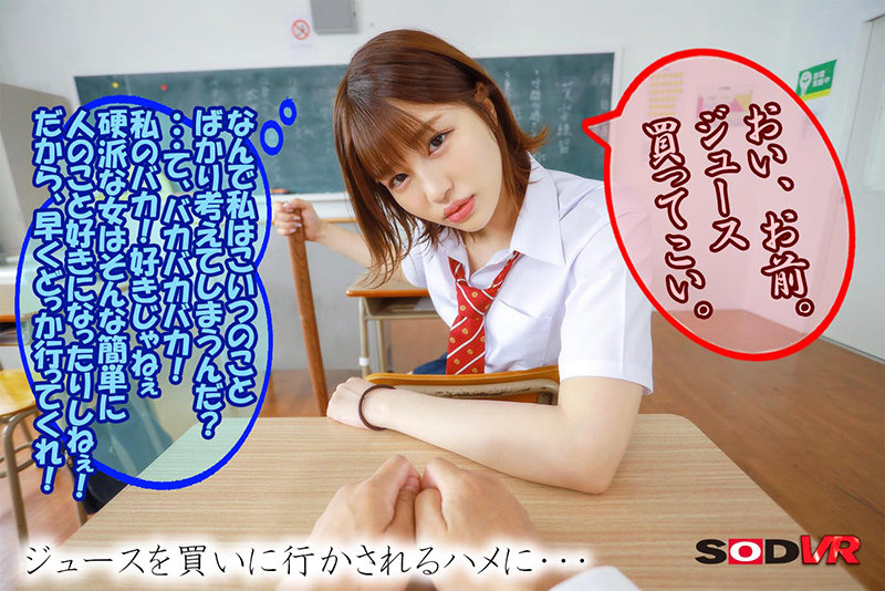 13DSVR01007 サンプル5