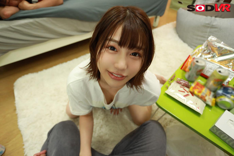 13DSVR01009 サンプル3