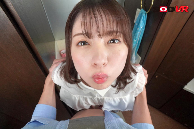 13DSVR01115 サンプル18