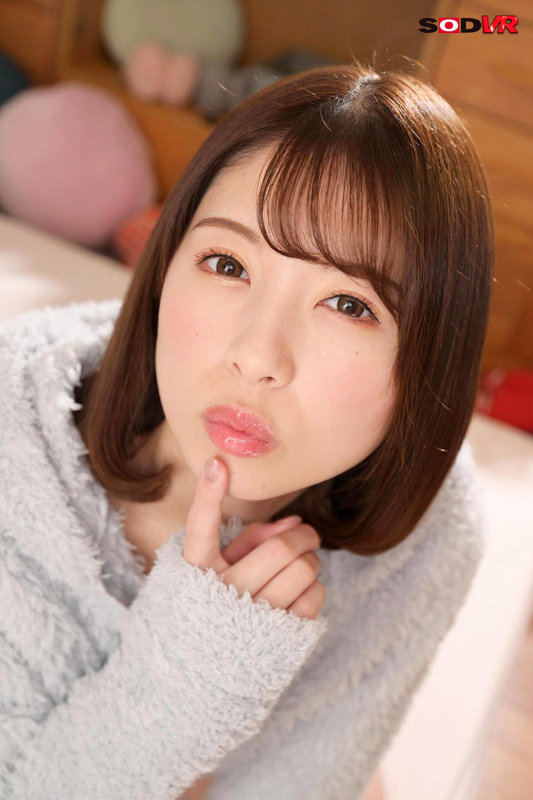 13DSVR01115 サンプル3