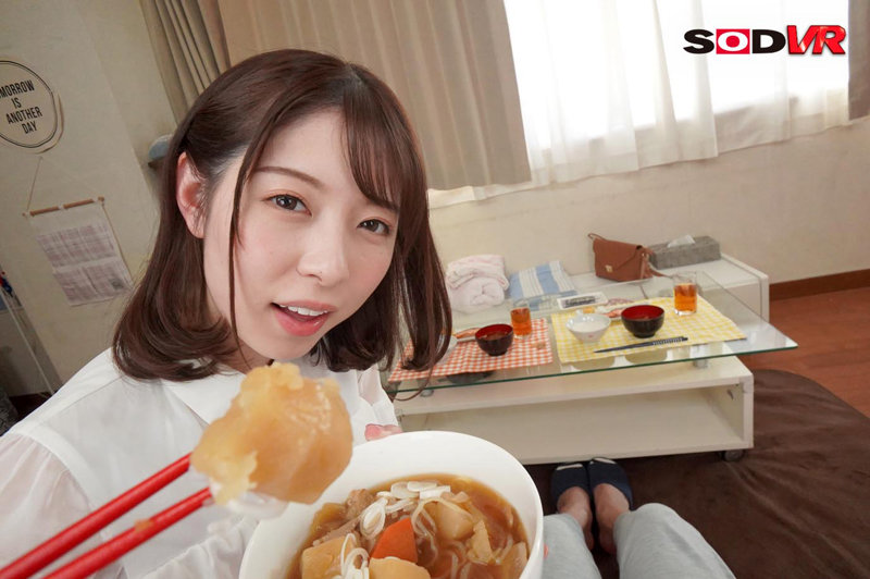 13DSVR01115 サンプル8