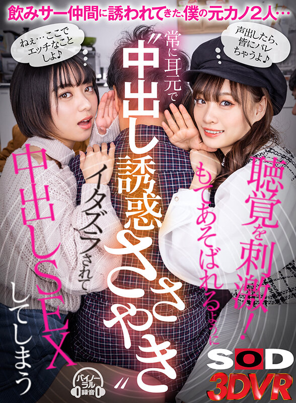 13DSVR01118 サンプル1