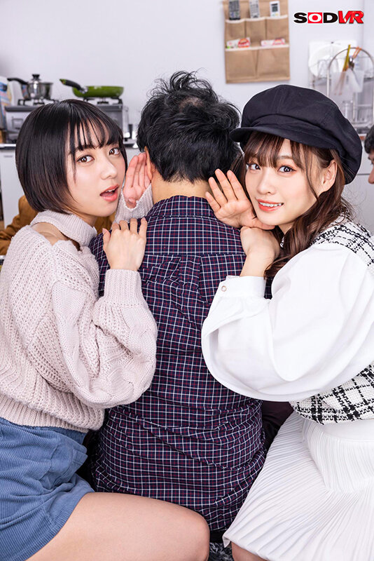 13DSVR01118 サンプル2