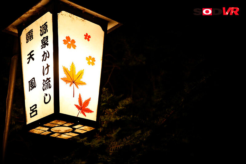 13DSVR01119 サンプル3