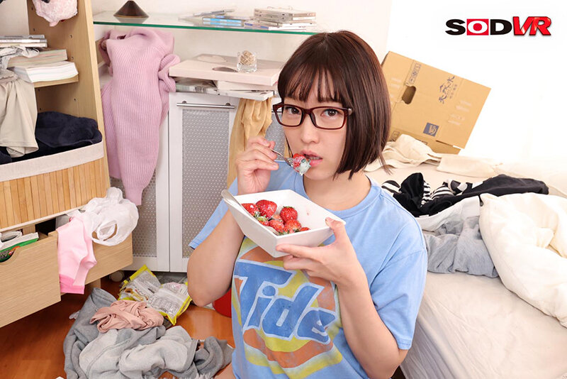 13DSVR01137 サンプル13