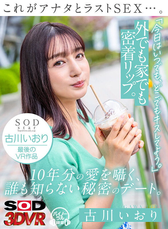 13DSVR01160 サンプル1