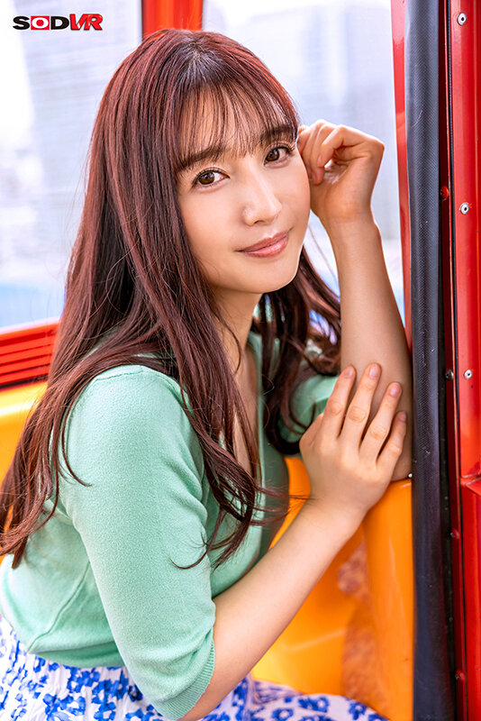 13DSVR01160 サンプル3