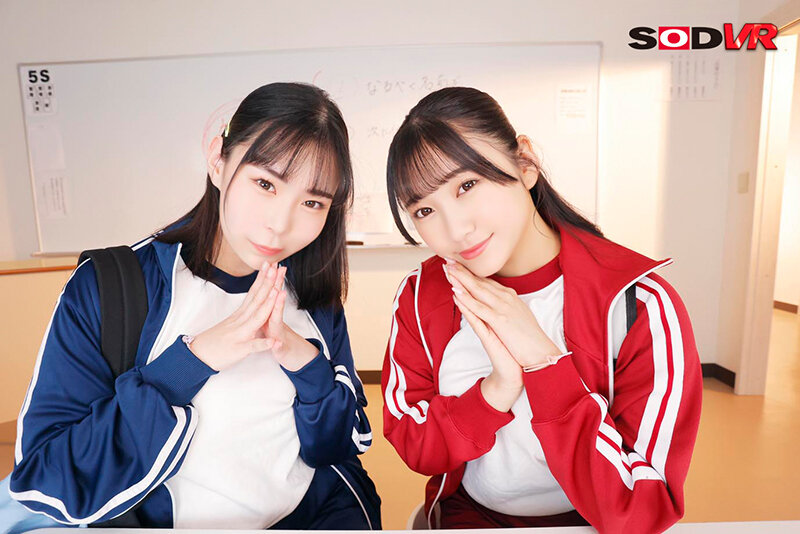 13DSVR01290 サンプル2