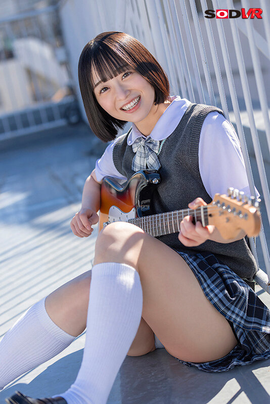 13DSVR01295 サンプル2