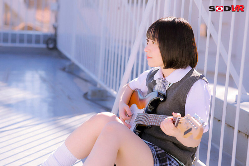 13DSVR01295 サンプル3