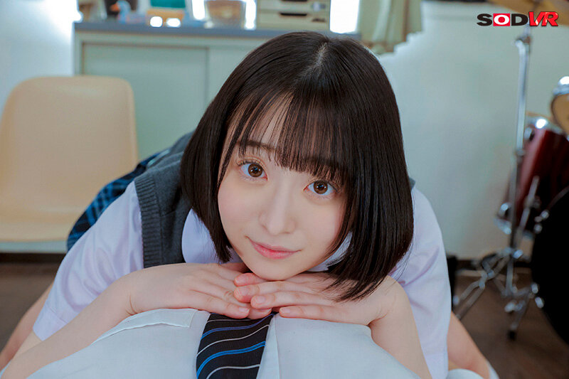 13DSVR01295 サンプル8