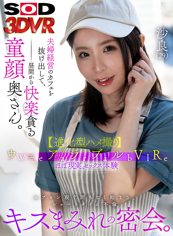 13DSVR01309 サンプル1