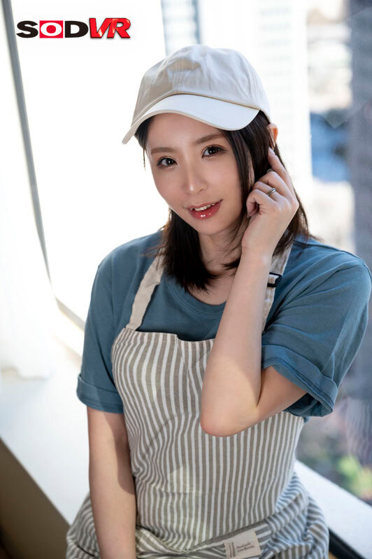 13DSVR01309 サンプル2