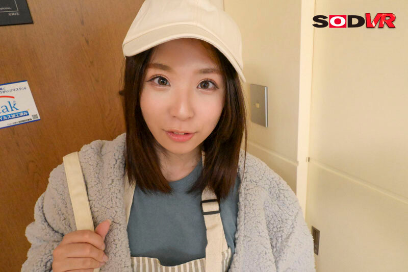 13DSVR01309 サンプル3