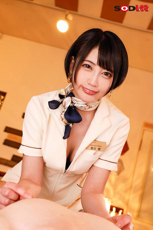 13DSVR01310 サンプル2