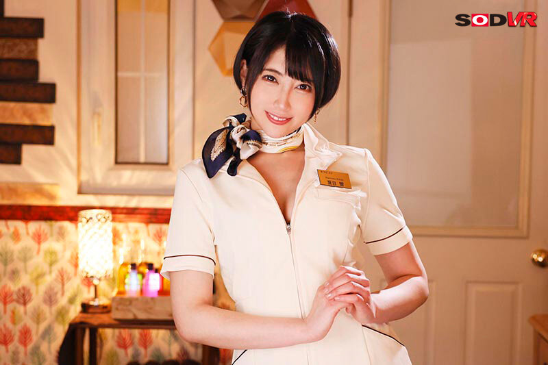 13DSVR01310 サンプル3