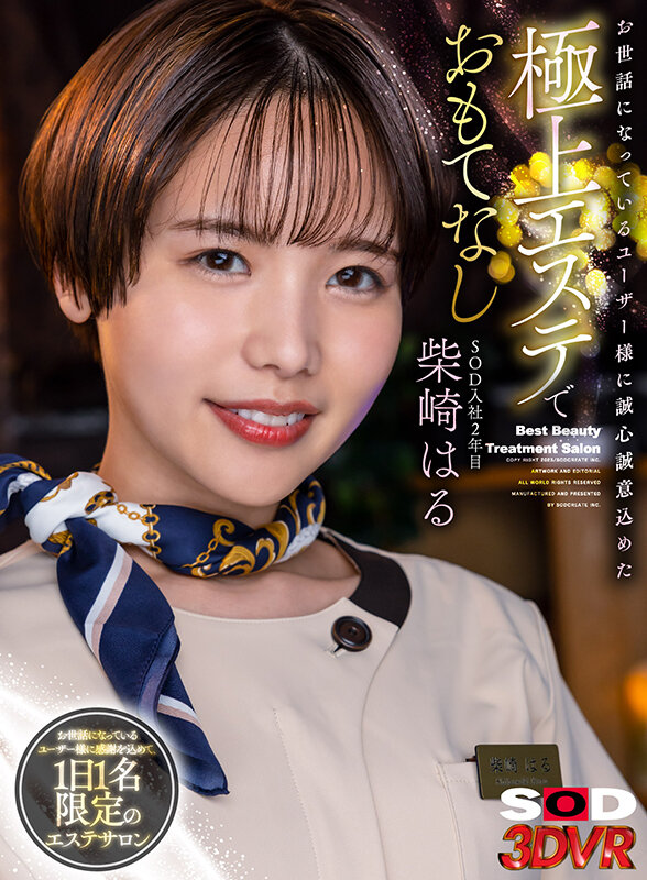 13DSVR01325 サンプル1