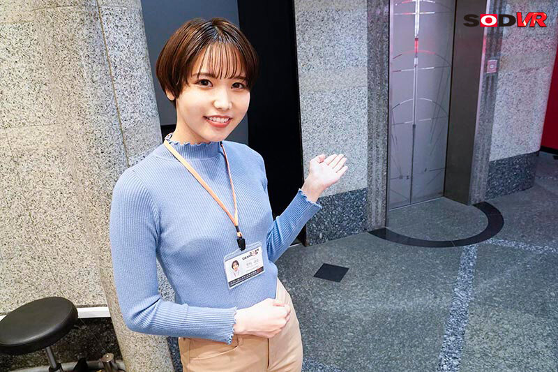 13DSVR01325 サンプル2