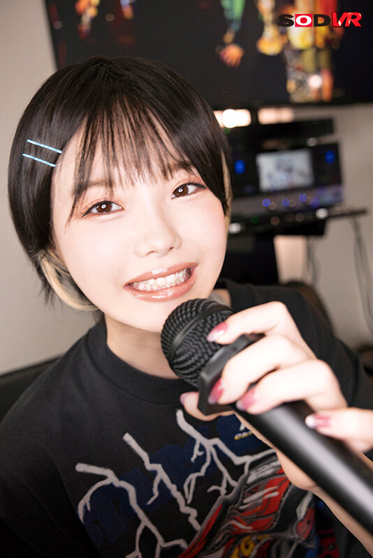 13DSVR01335 サンプル2