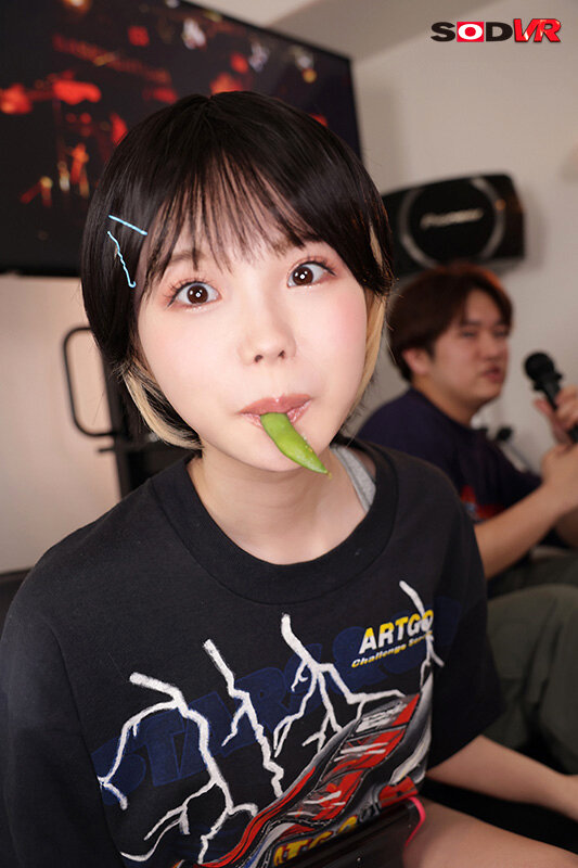 13DSVR01335 サンプル3