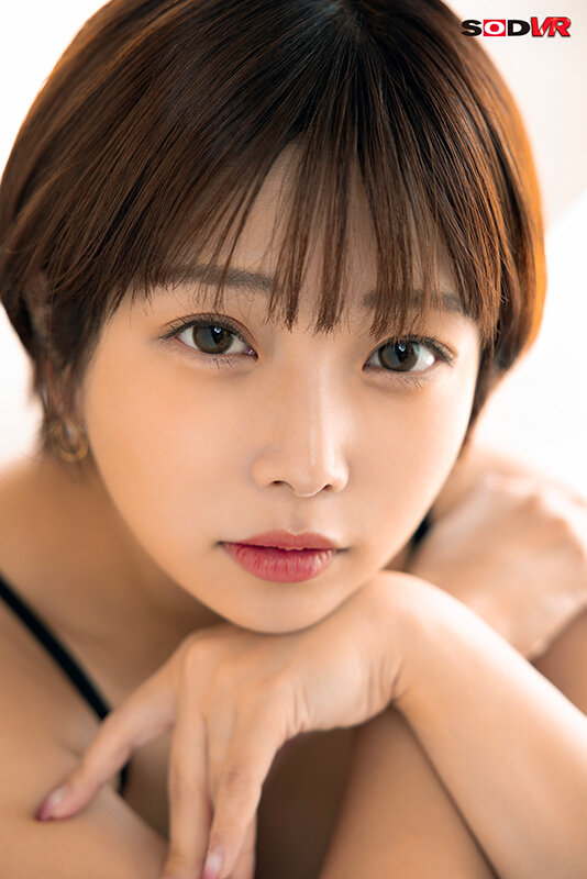 13DSVR01393 サンプル11