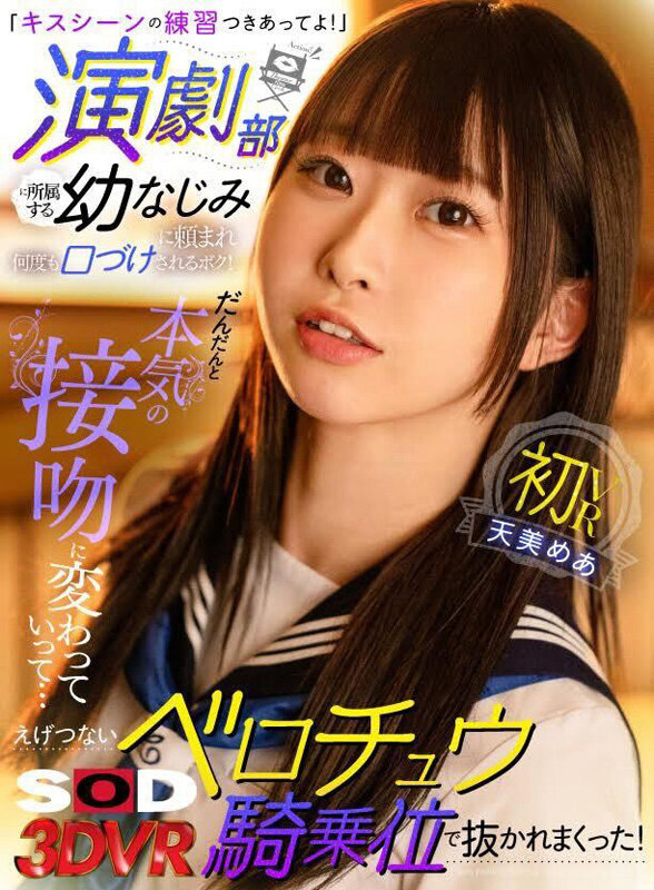 13DSVR01459 サンプル1