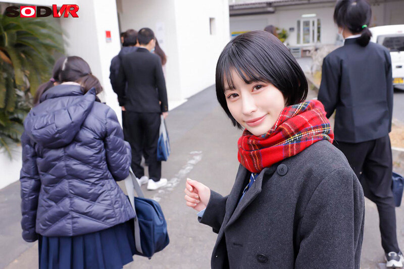 13DSVR01530 サンプル2