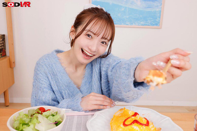 13DSVR01577 サンプル4