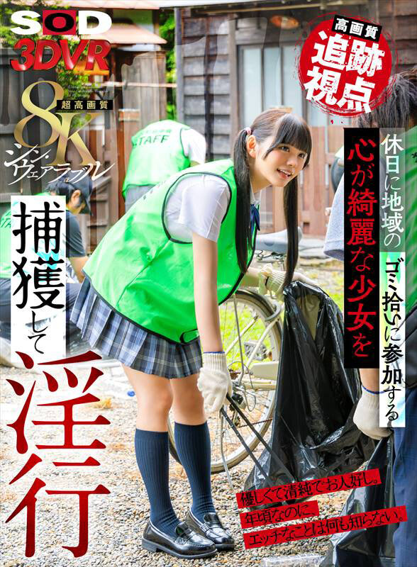 13DSVR01681 サンプル1