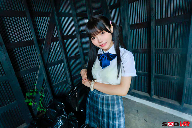 13DSVR01681 サンプル4