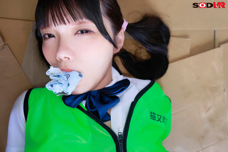 13DSVR01681 サンプル8