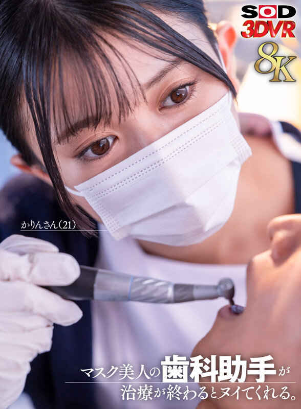 13DSVR01685 サンプル1