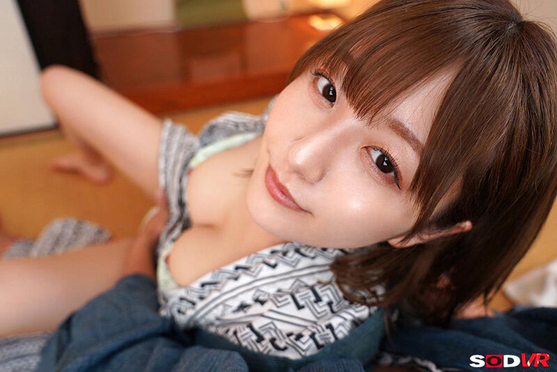 13DSVR01710 サンプル3