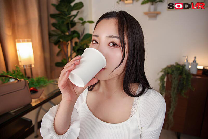 13DSVR01779 サンプル8