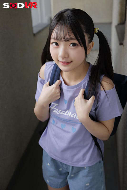 13DSVR01798 サンプル3