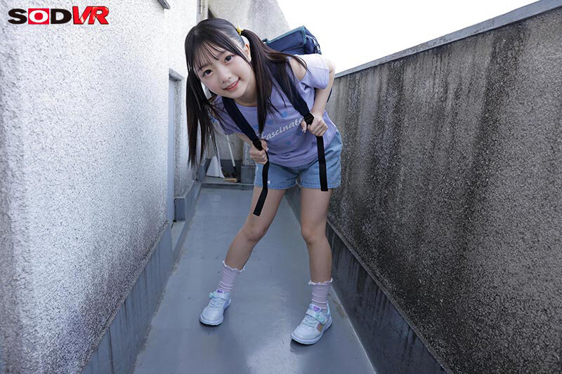 13DSVR01798 サンプル5