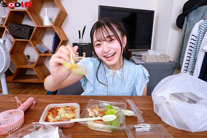 13DSVR01837 サンプル2