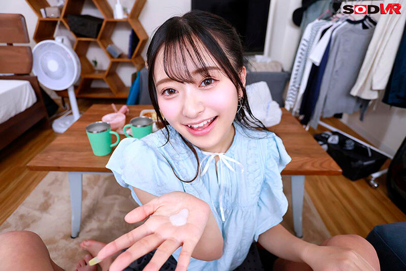 13DSVR01837 サンプル6