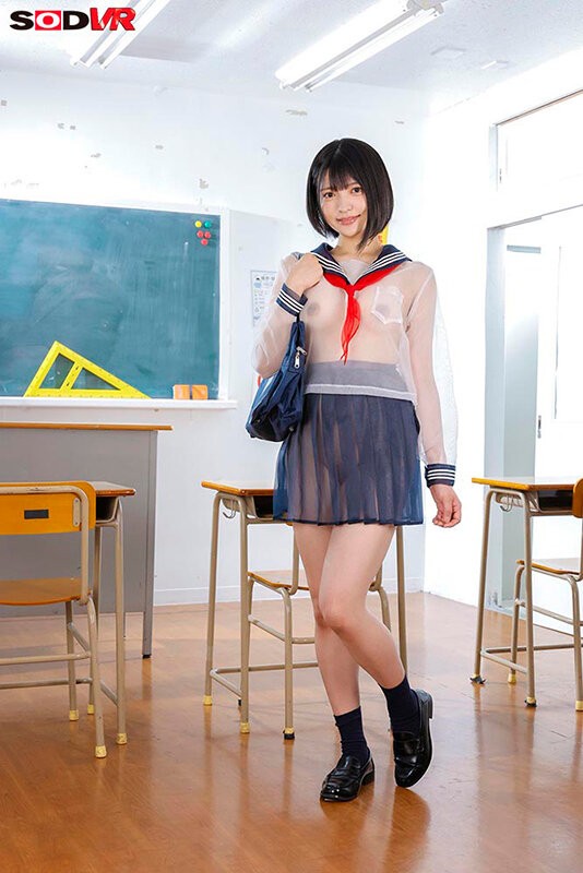 13DSVR01859 サンプル6