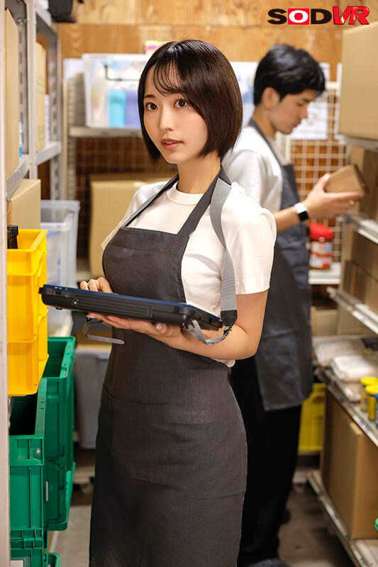 13DSVR01864 サンプル2