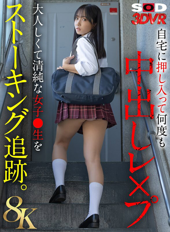 13DSVR01931 サンプル1