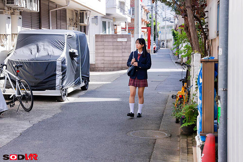 13DSVR01931 サンプル7