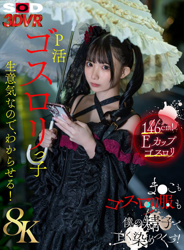 13DSVR01941 サンプル1