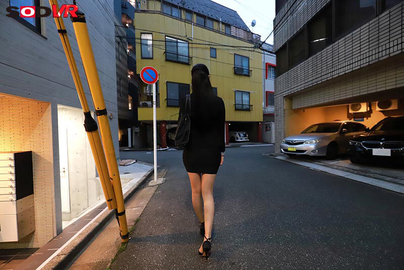 13DSVR01946 サンプル4